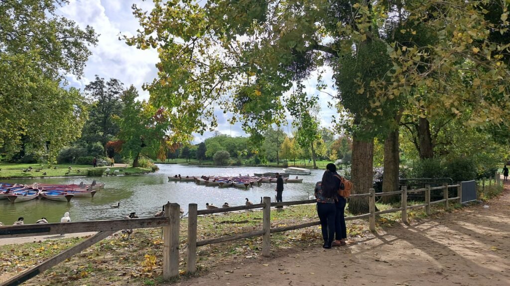 a couple admiring a lake of Bois de Vincennes and its rowboats, surrounded by ducks and peacocks.