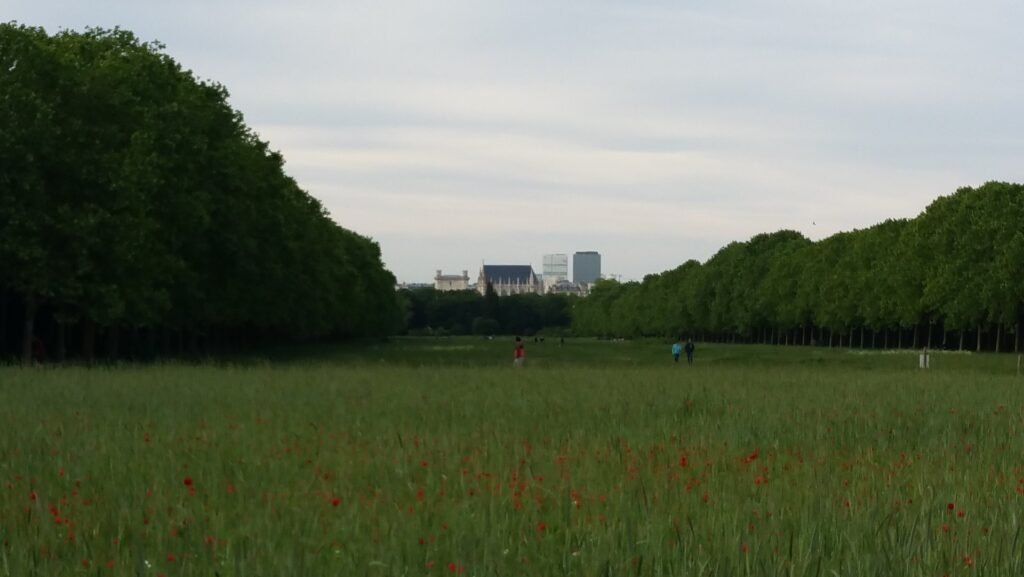 Large field of red poppies with the chateau de Vincennes in the background